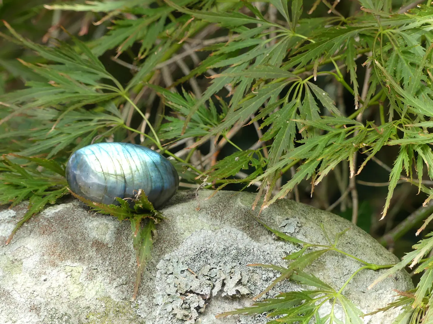 Une pierre naturelle labradorite sur un rocher