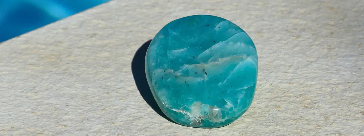 amazonite au bord d'une piscine