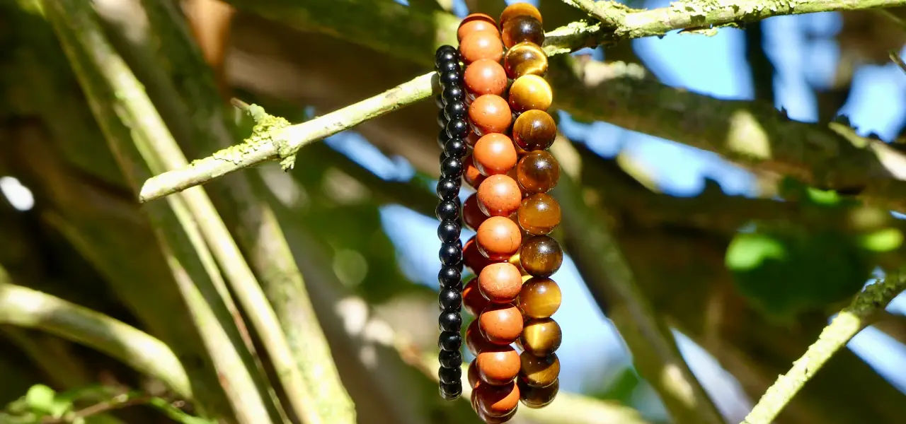 bracelet posé sur une branche d'arbre par très beau temps