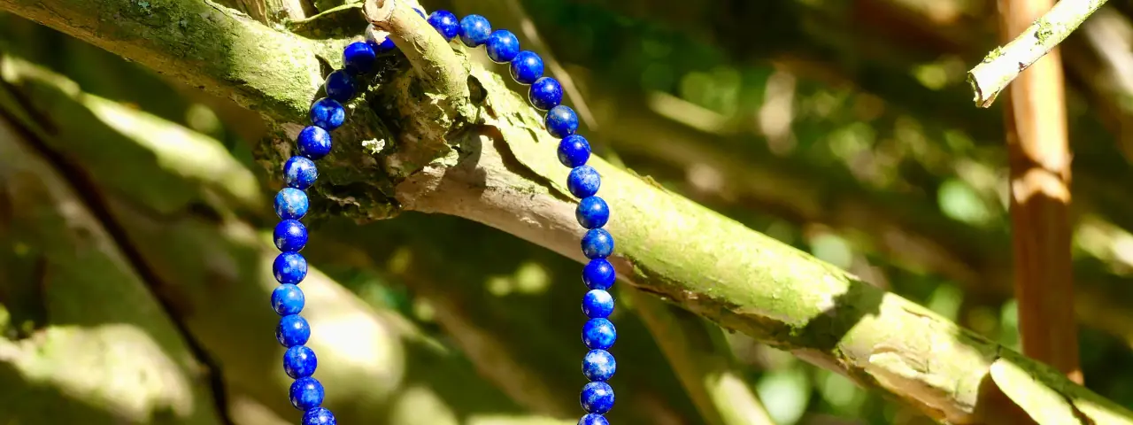 bracelet lapis lazuli sur une branche au soleil