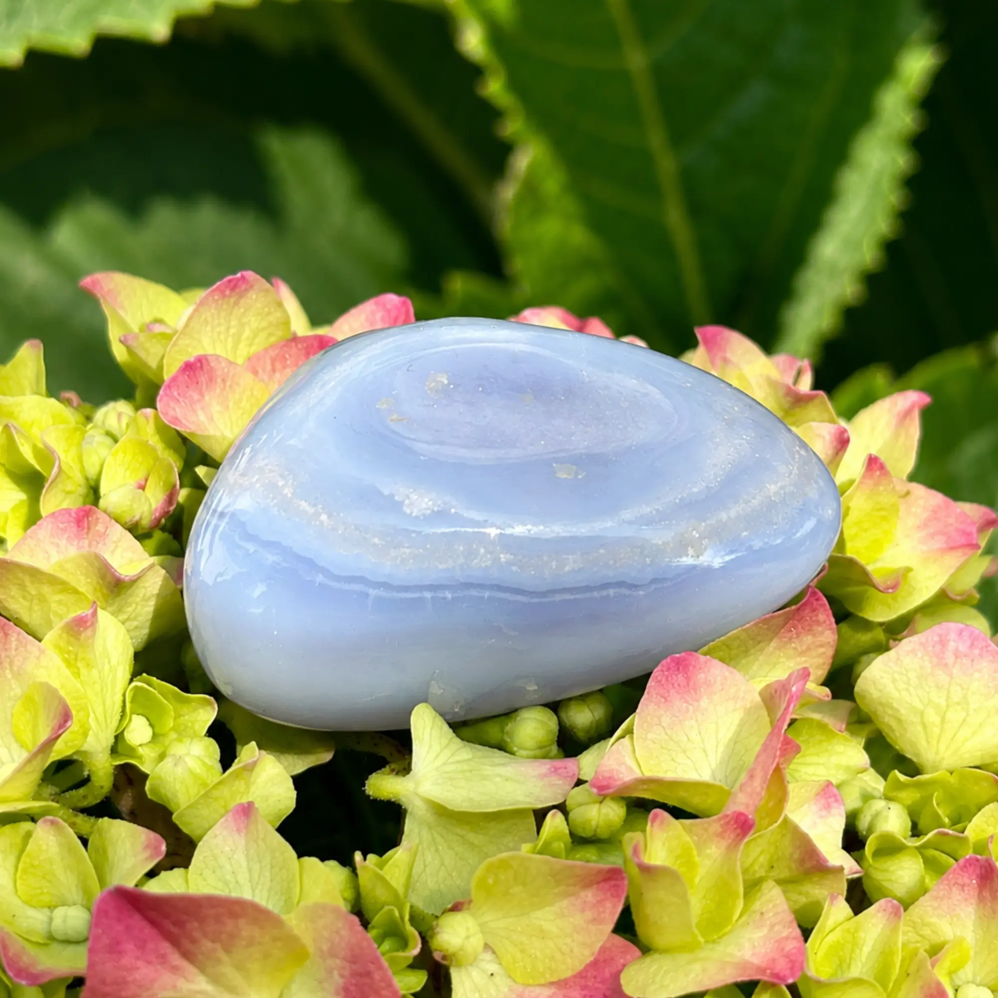 Calcédoine bleue roulée dans un bol