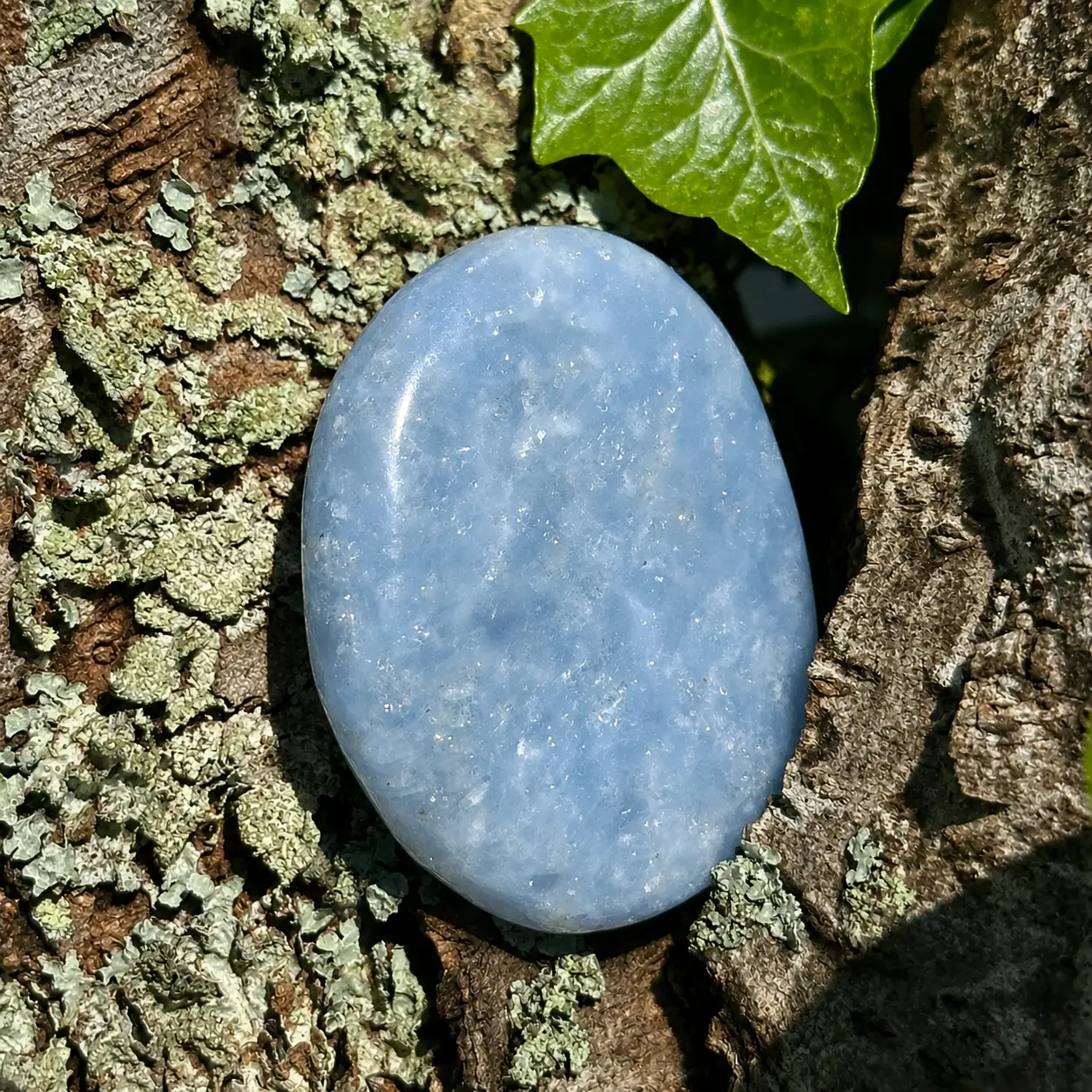 Calcite bleue plate dans un arbre