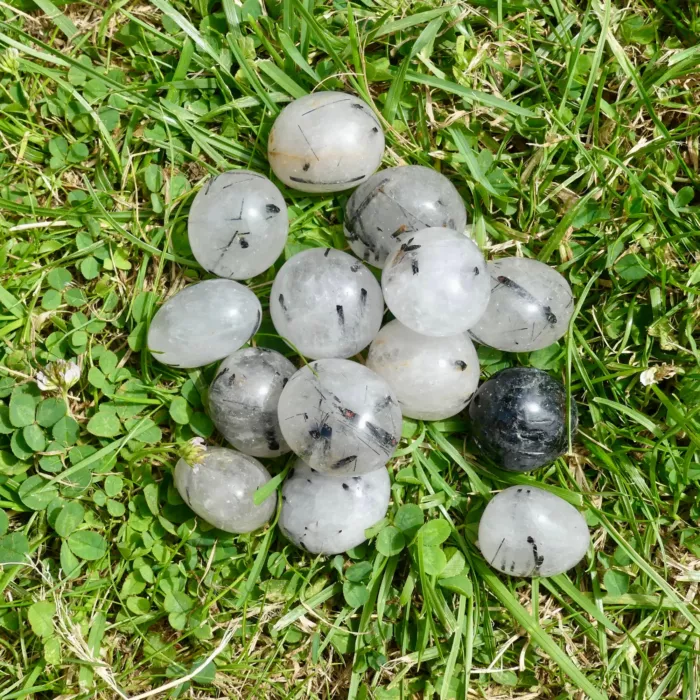 une douzaine de cristal de roche tourmaline posée dans l'herbe