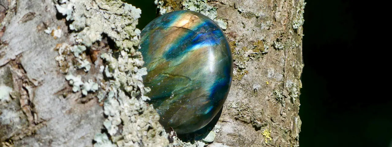 Galet de labradorite dans un arbre