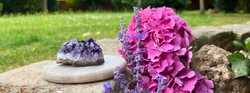 Minéraux dans un jardin fleuri