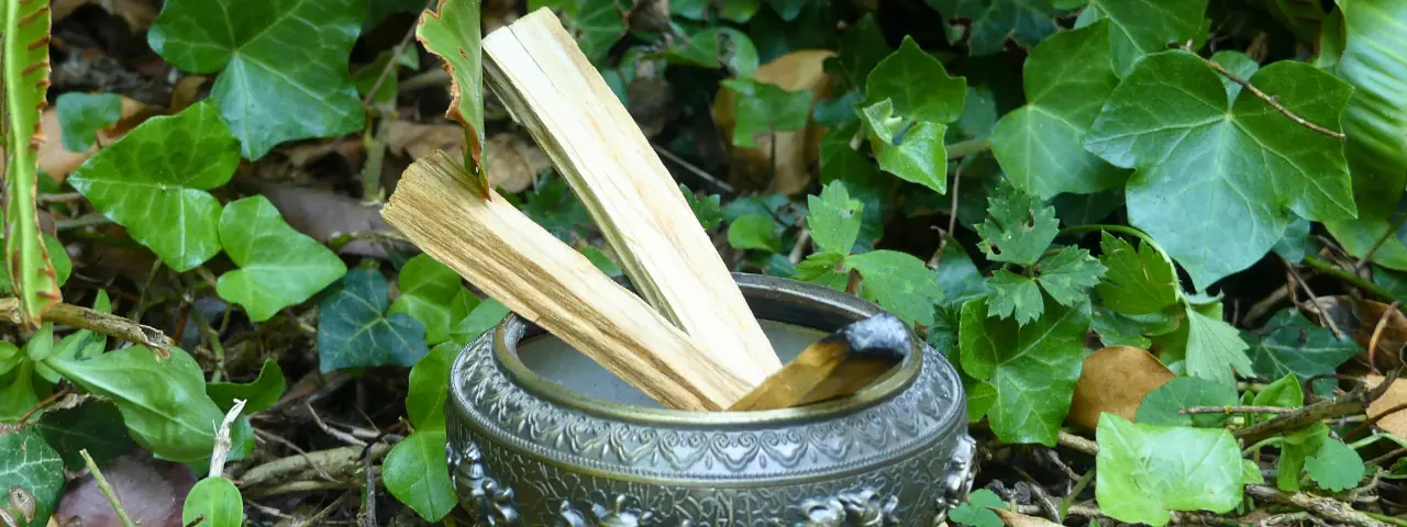 Palo santo éteint