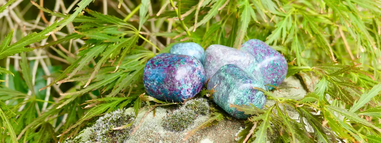 rubis fuchsite et cyanite sur un rocher dans les herbes hautes