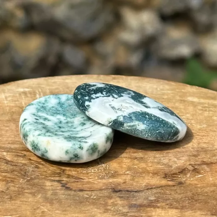 Agate arbre galet anti stress