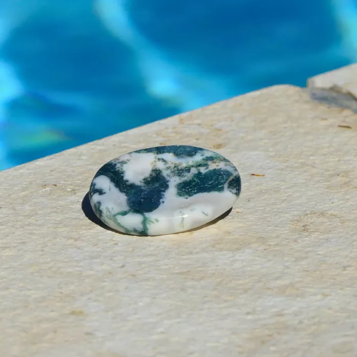 une pierre agate arbre au bord d'une piscine