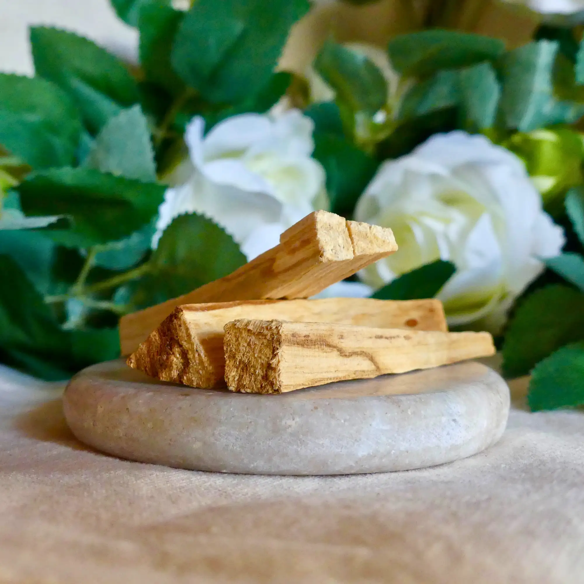 Bois de Palo Santo posé sur une pierre ronde