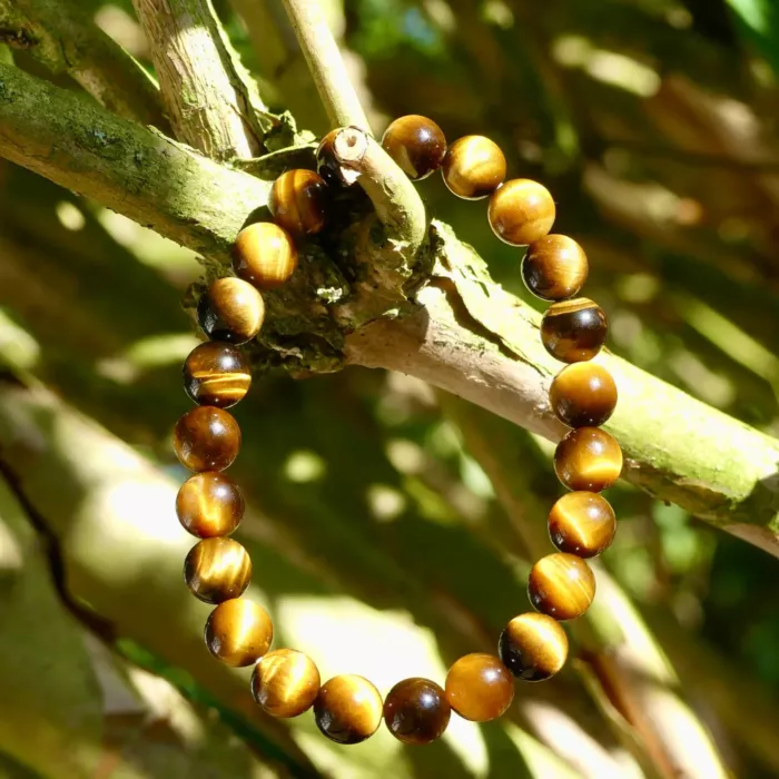 un bracelet oeil de tigre posé sur une branche