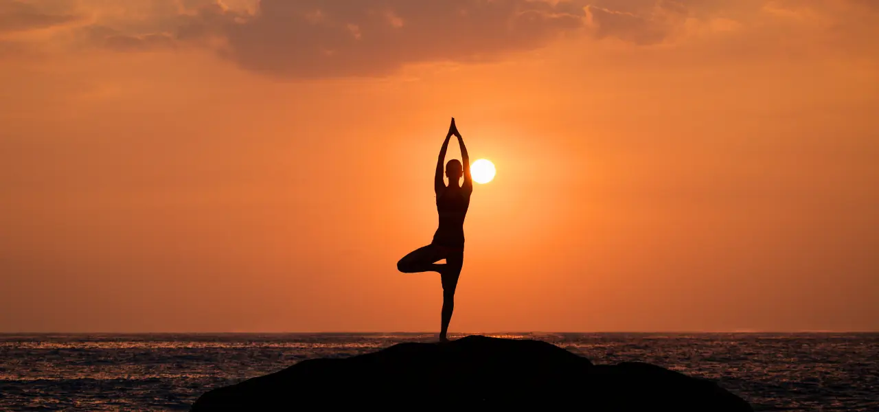 Position de yoga du vrikshasana, en lien avec le chakra racine