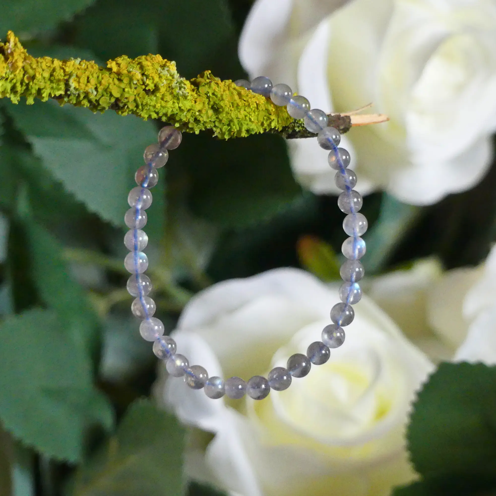 Bracelet labradorite en gros plan, posé sur une branche