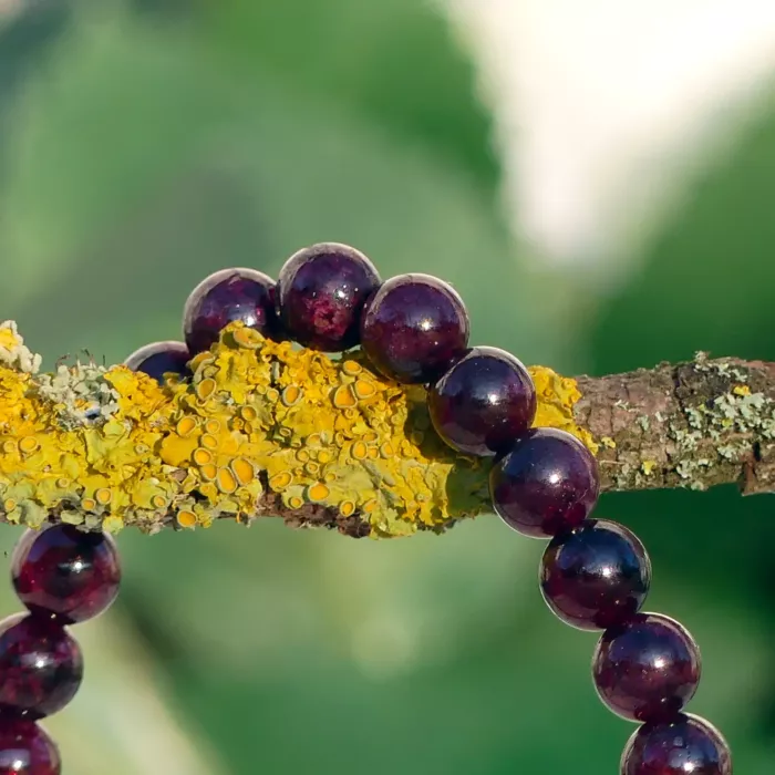 bracelet grenat posé une branche en gros plan