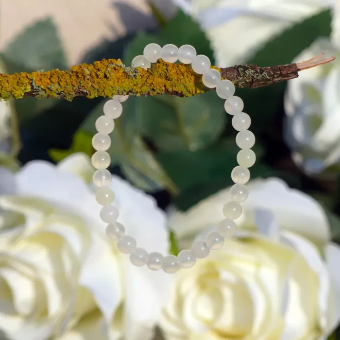 bracelet jade sur une branche