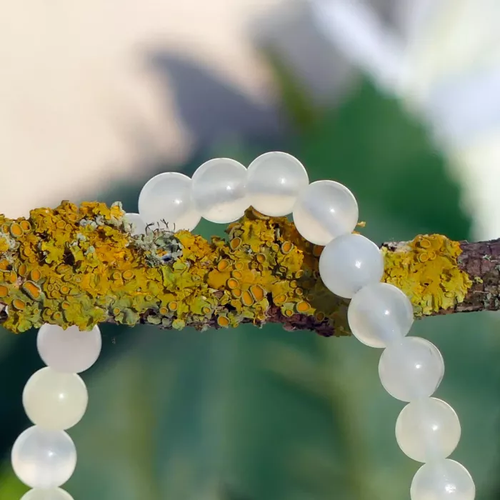 bracelet jade sur une branche en gros plan