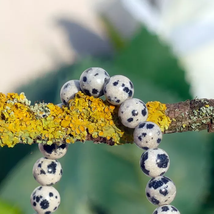 bracelet jaspe dalmatien sur une branche, en gros plan