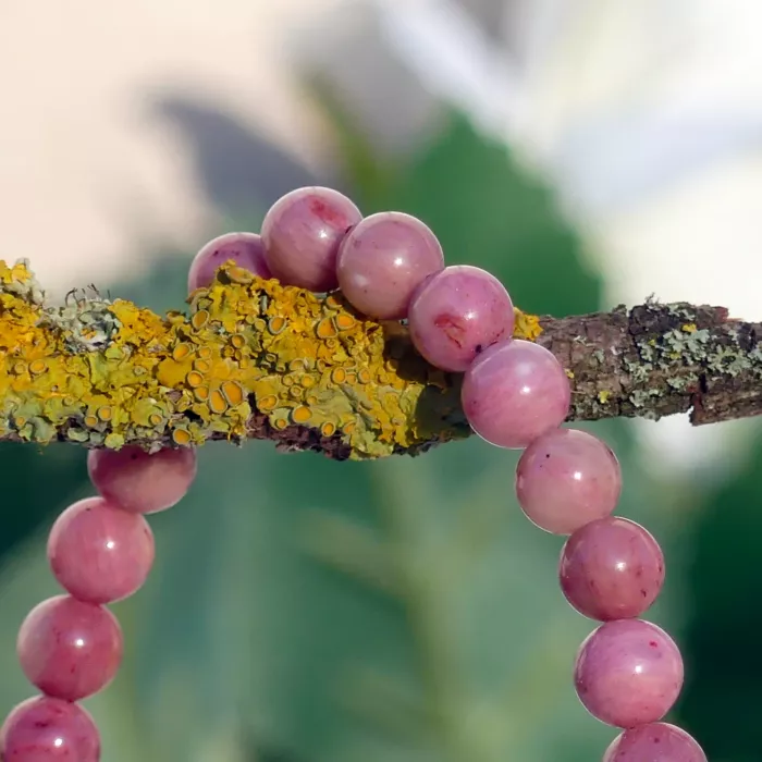 bracelet rhodonite posé sur une branche en gros plan