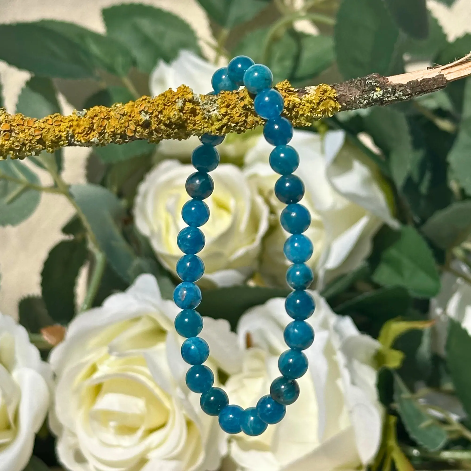 bracelet apatite sur une branche