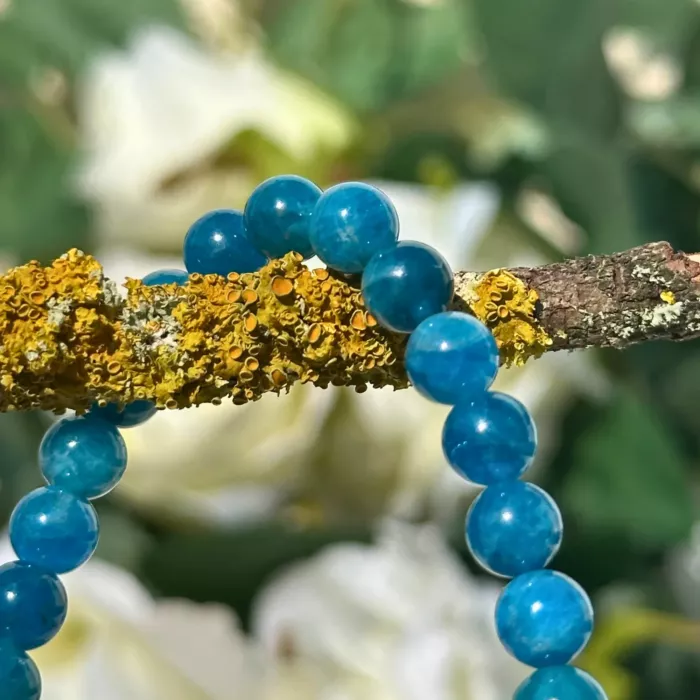 bracelet apatite sur une branche