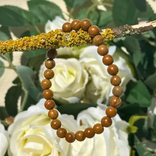 bracelet bois fossile sur une branche