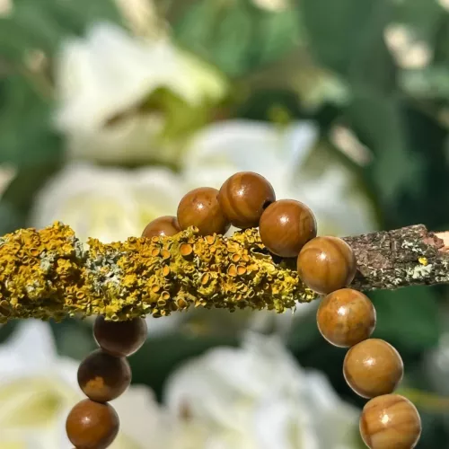 bracelet bois fossile sur une branche