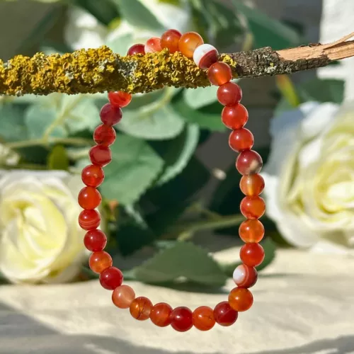 bracelet cornaline rubanée sur une branche