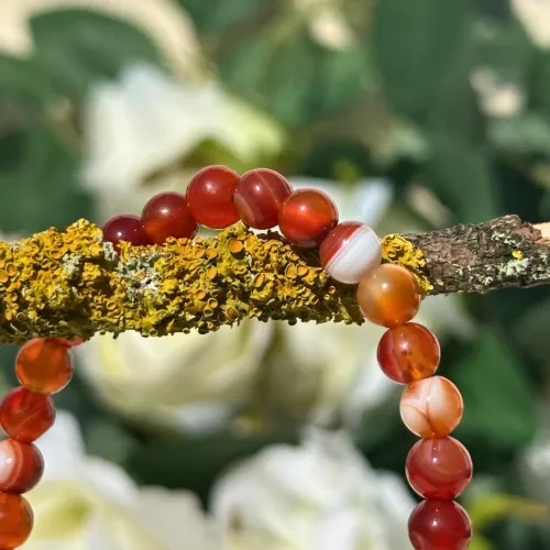 bracelet cornaline rubanée sur une branche