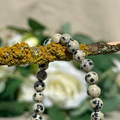 bracelet jaspe dalmatien 6 mm gros plan