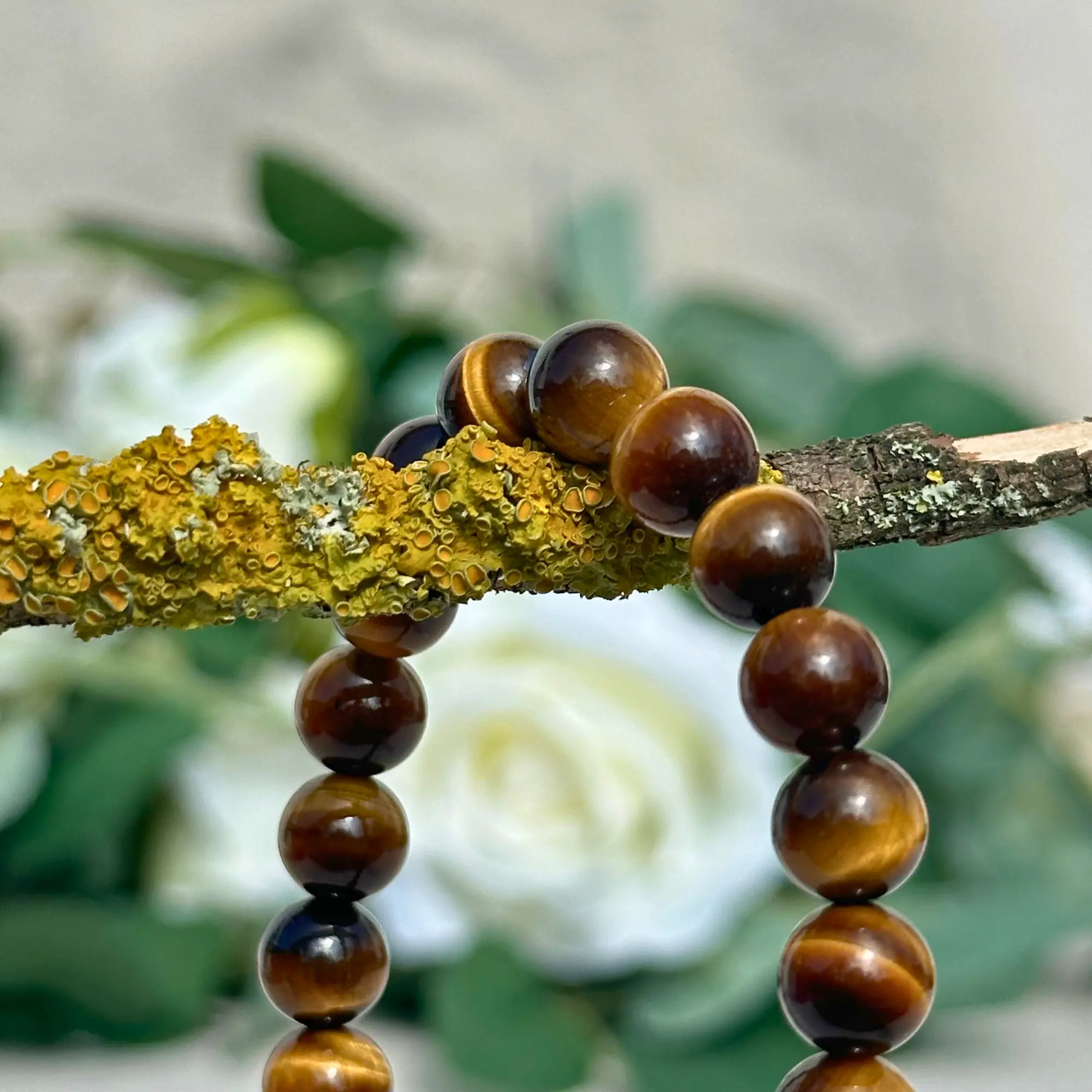 bracelet oeil de tigre 8 mm en gros plan