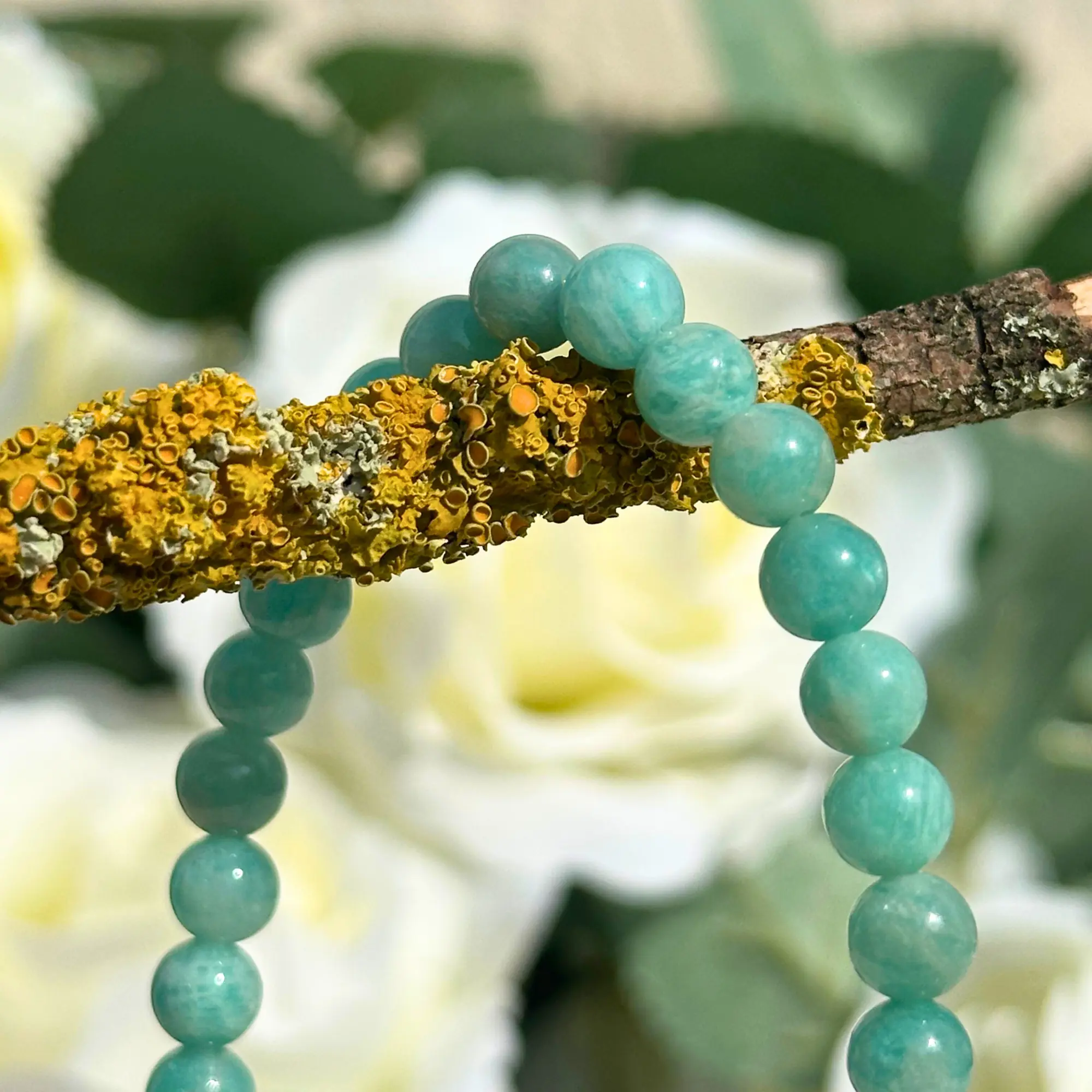 Bracelet amazonite 6 mm en gros plan