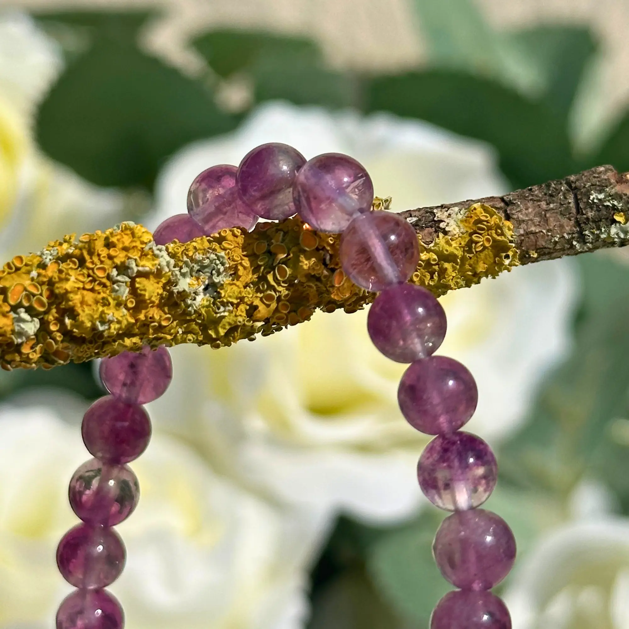 Bracelet fluorite violette posé sur une branche