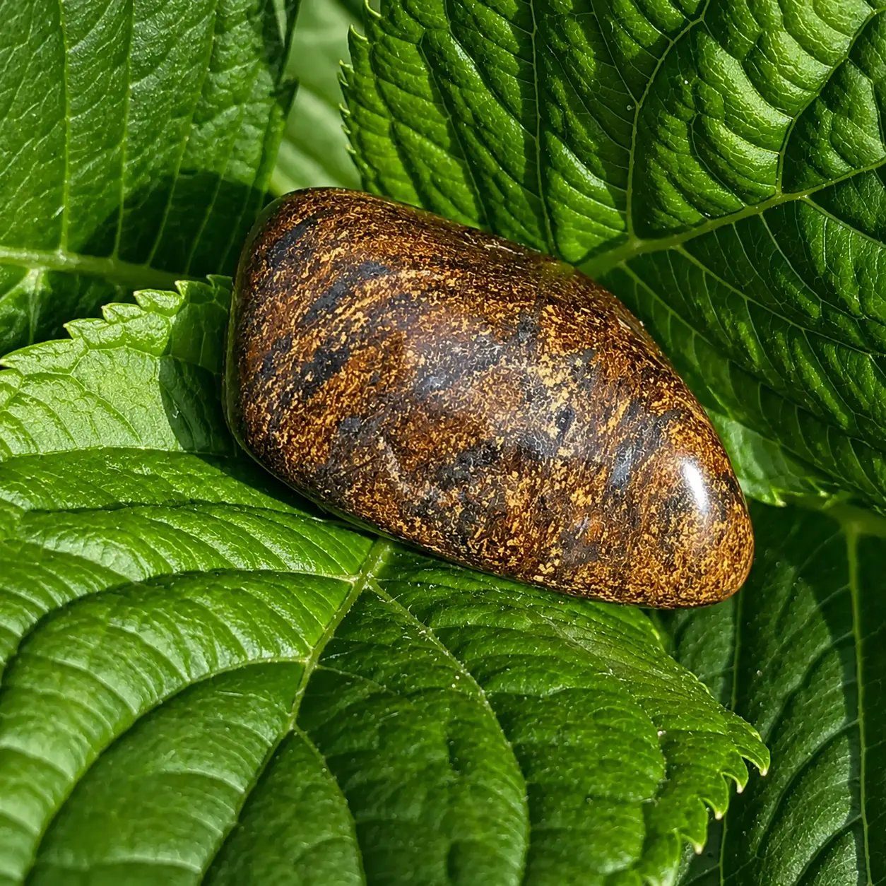 bronzite roulée posée sur une feuille