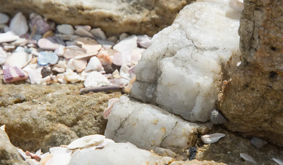 Une veine de calcite à l'état naturel