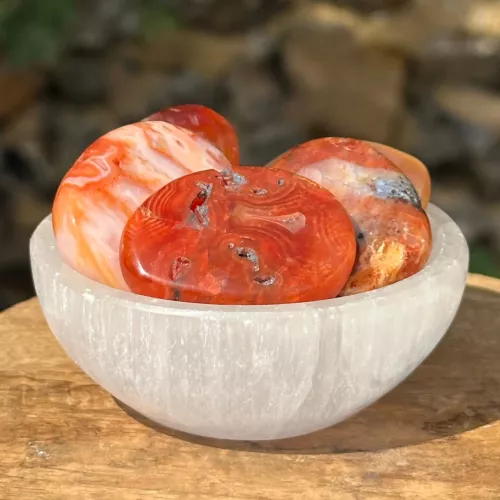 Cornaline plate dans un bol