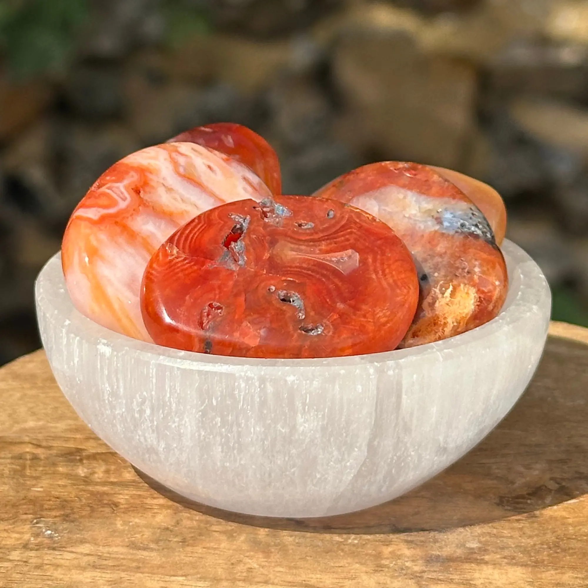 Cornaline plate dans un bol