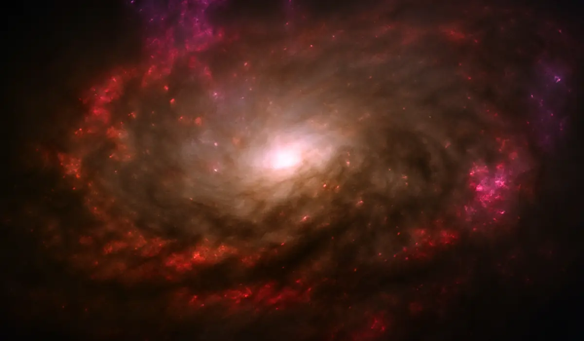 Galaxie du Compas en gros plan, vue d'artiste