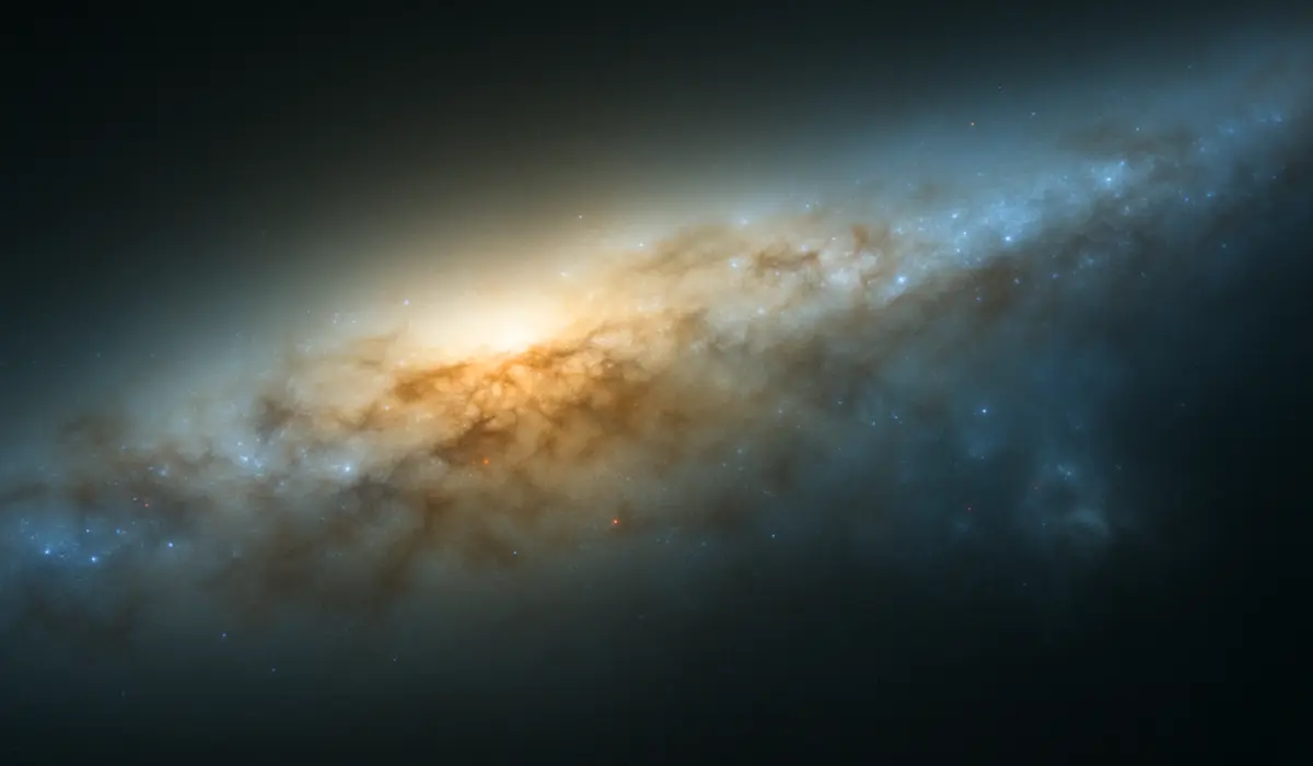 Galaxie de la Baleine en gros plan, vue d'artiste