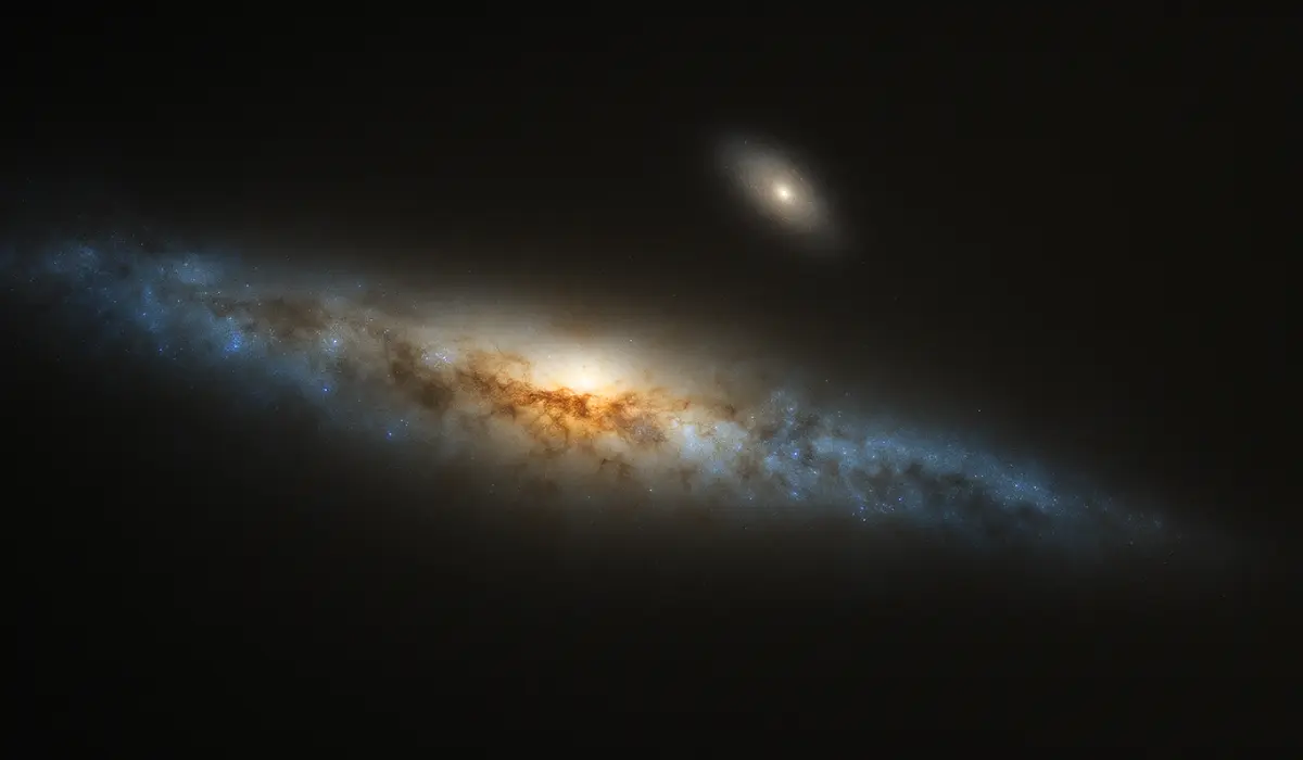 Galaxie de la Baleine, vue d'artiste