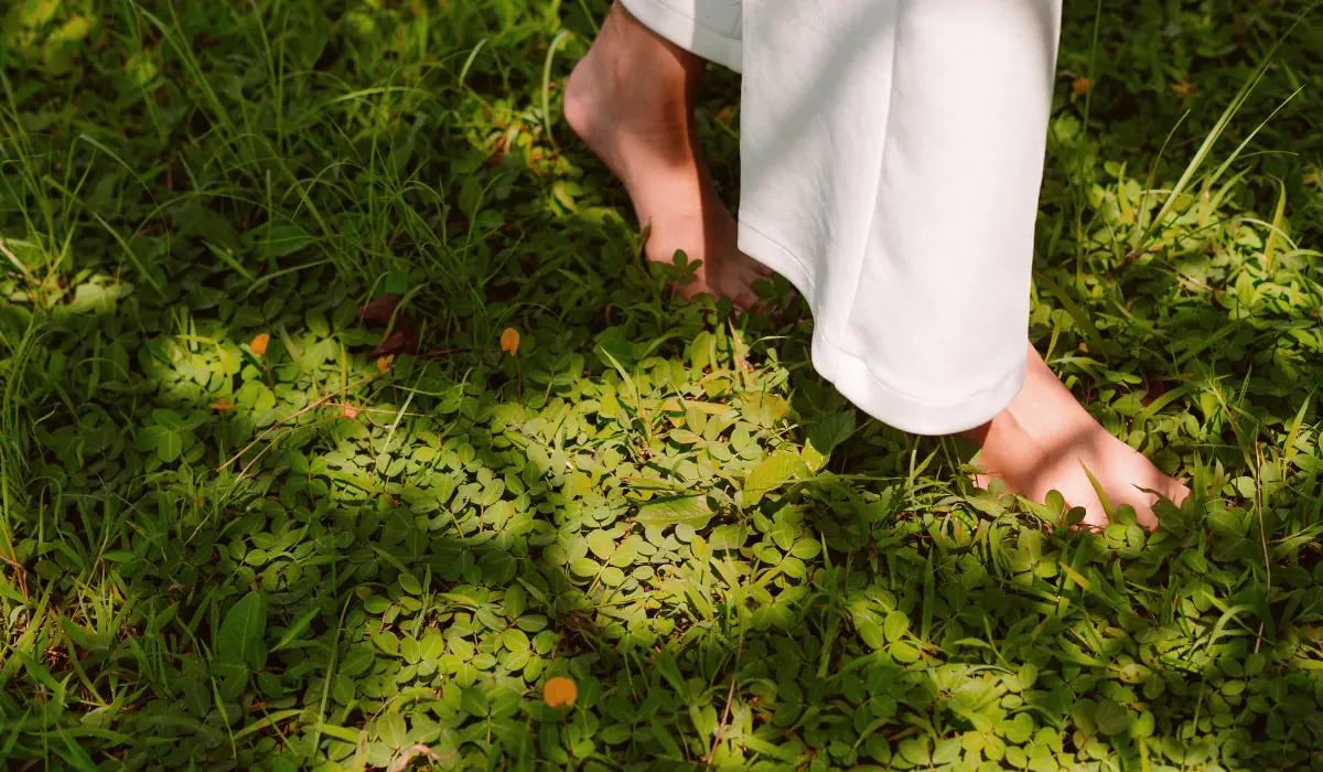 Marche dans l'herbe, illustrant la méditation sans application