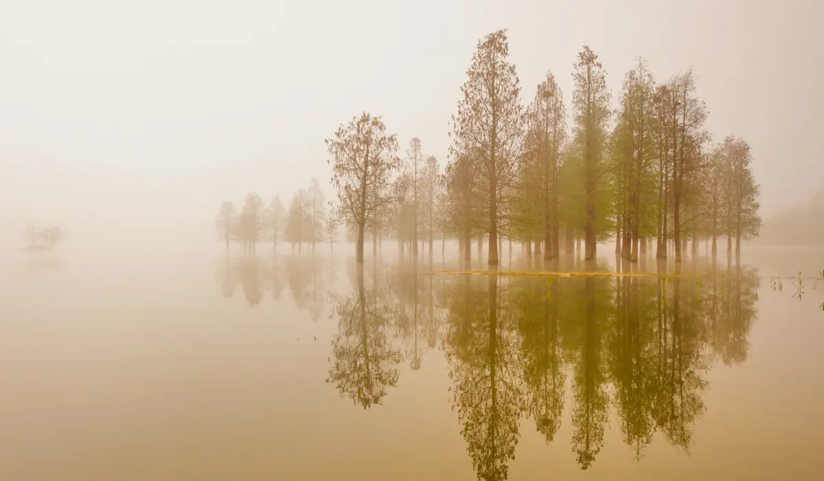 Un lac silencieux