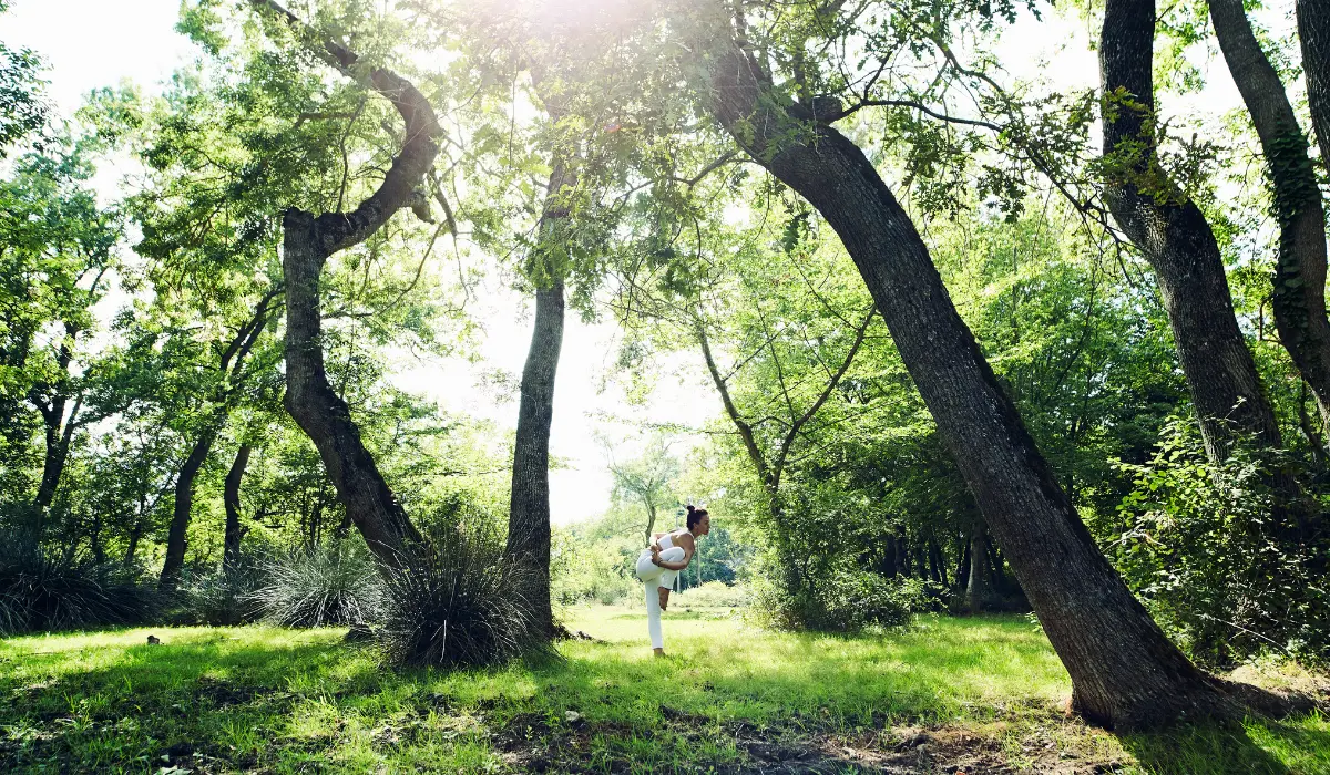 Une séance de yoga, un rituel du matin