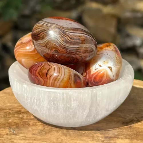 Sardonyx dans un bol