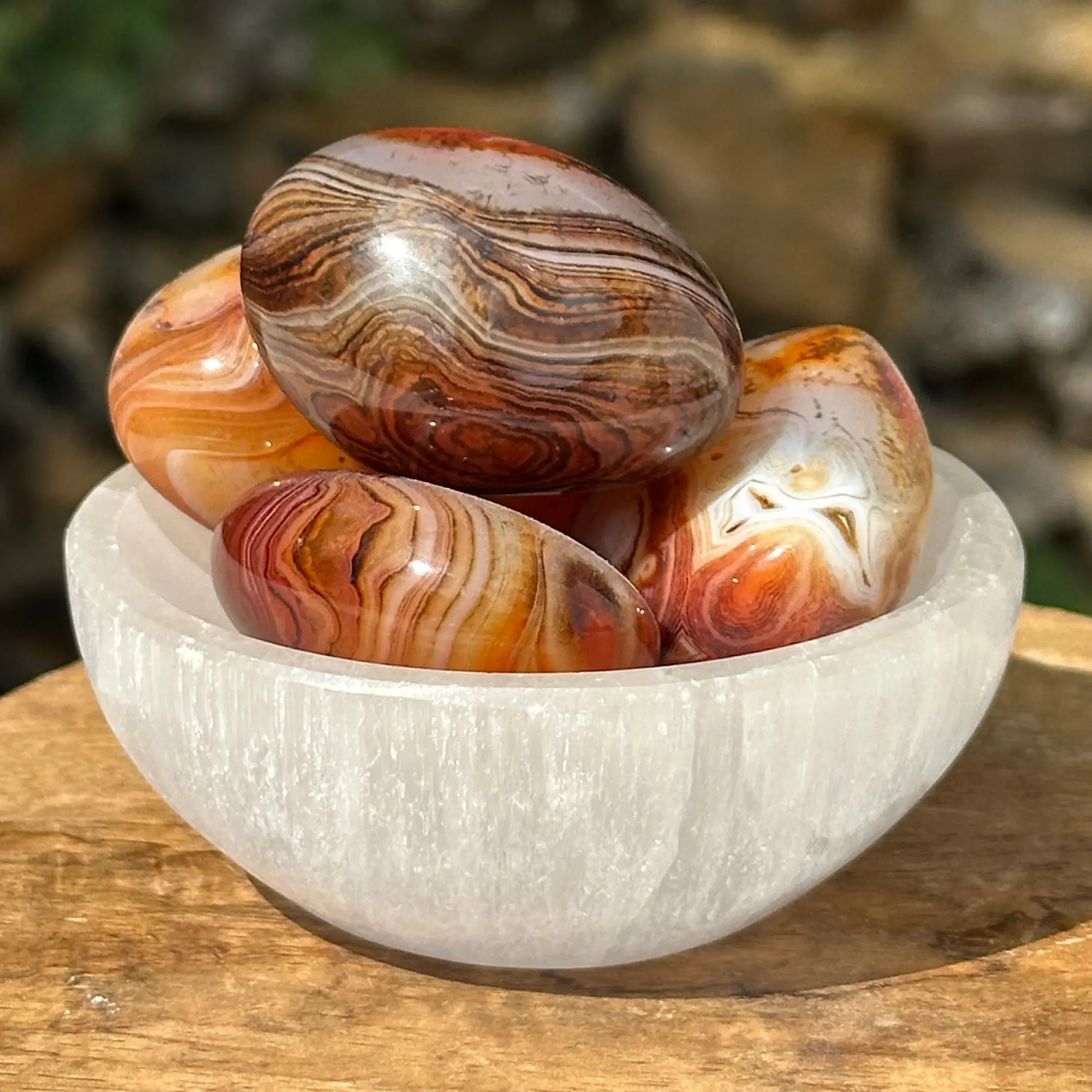 Sardonyx dans un bol