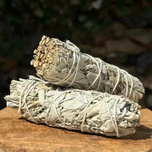 Deux fagots de sauge blanche