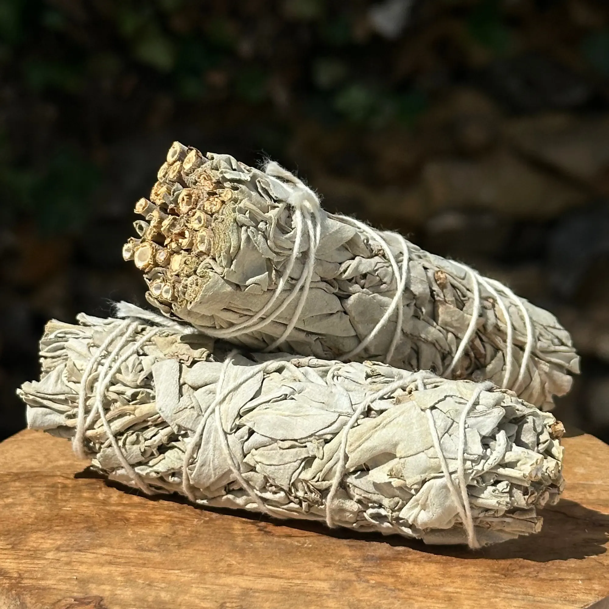 Deux fagots de sauge blanche