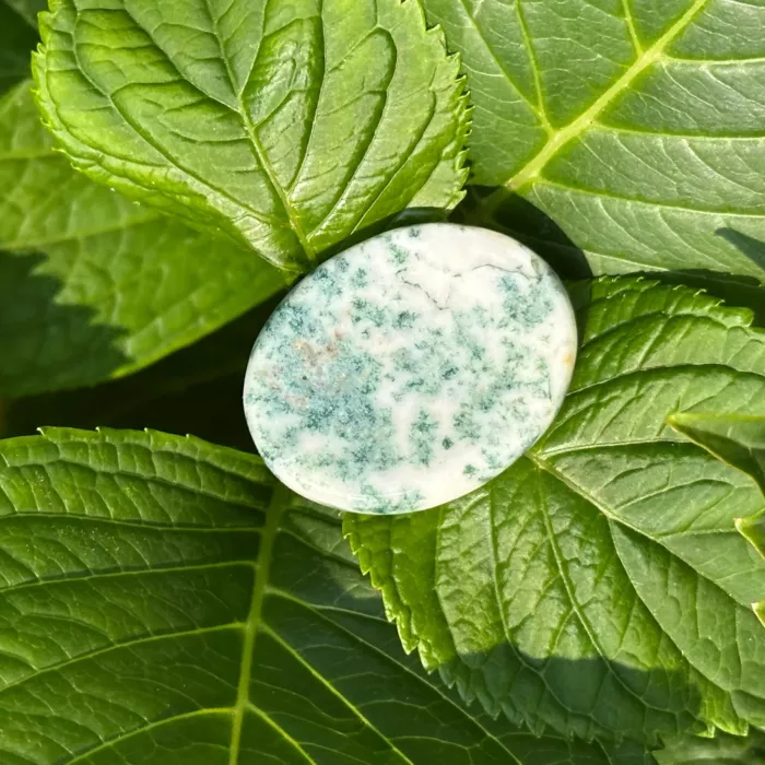 Galet anti-stress en agate arbre posé sur une feuille