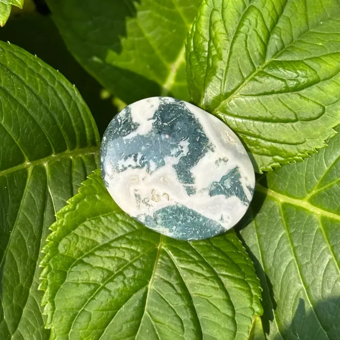 Galet anti-stress en agate arbre posé sur un feuille
