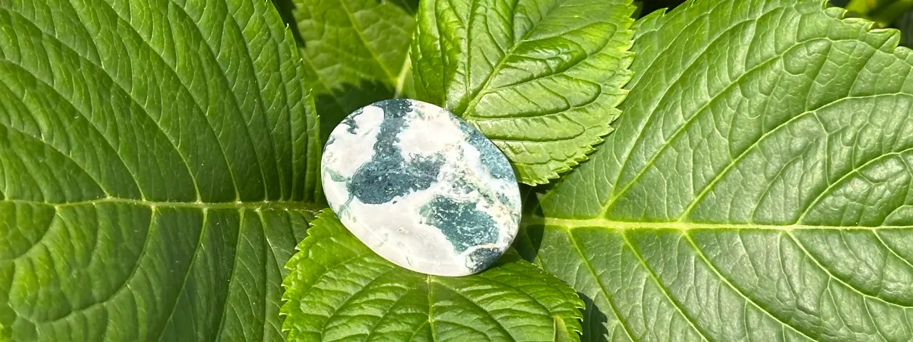 Galet anti-stress en agate arbre posé sur un feuille