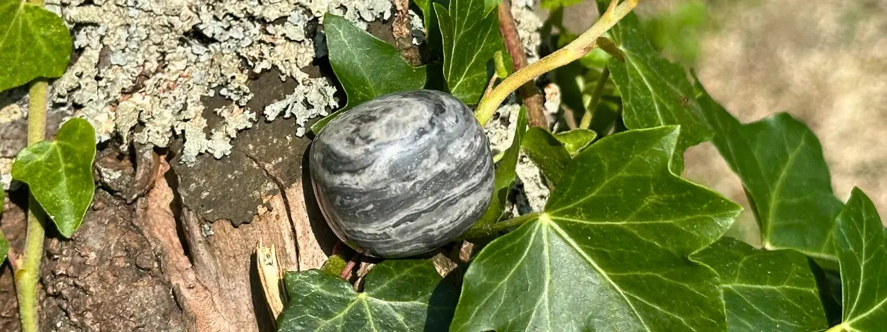 Agate crazy lace grise roulée posée dans un arbre